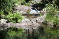 Ruta: Pozo Caído (Rio Pacín), Entrimo